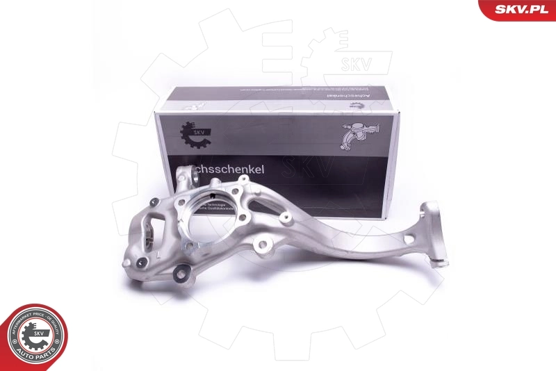 Steering Knuckle, wheel suspension